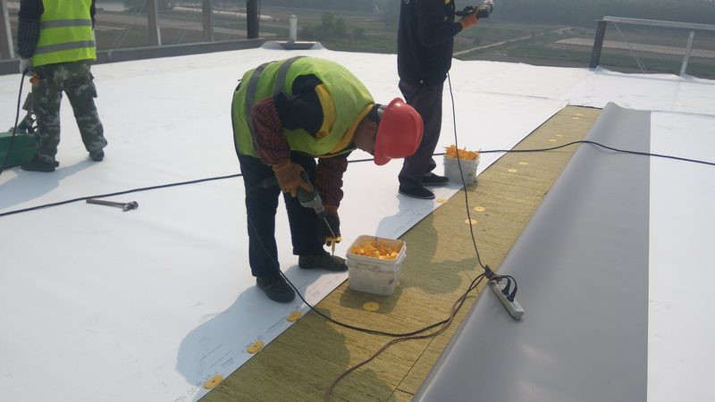 上海JS防水涂料环保标准解读：环保与性能并重